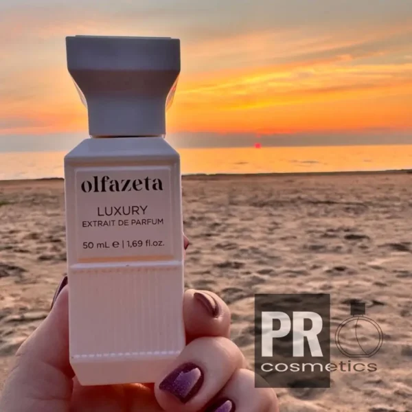 Seduction Olfazeta Chogan luxury unisex perfume 50ml EVENT23W buy online shop