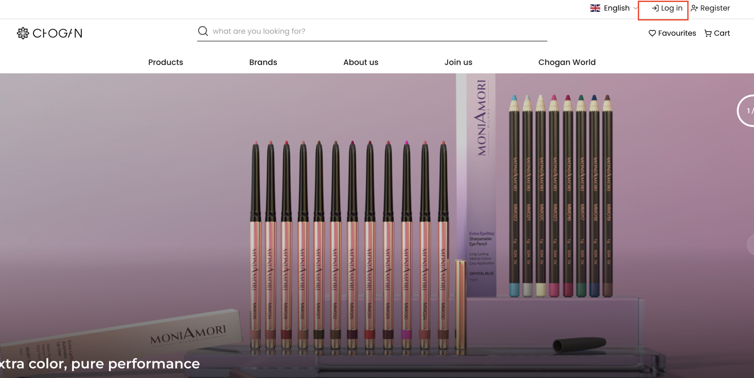 How to log in in Chogan website
