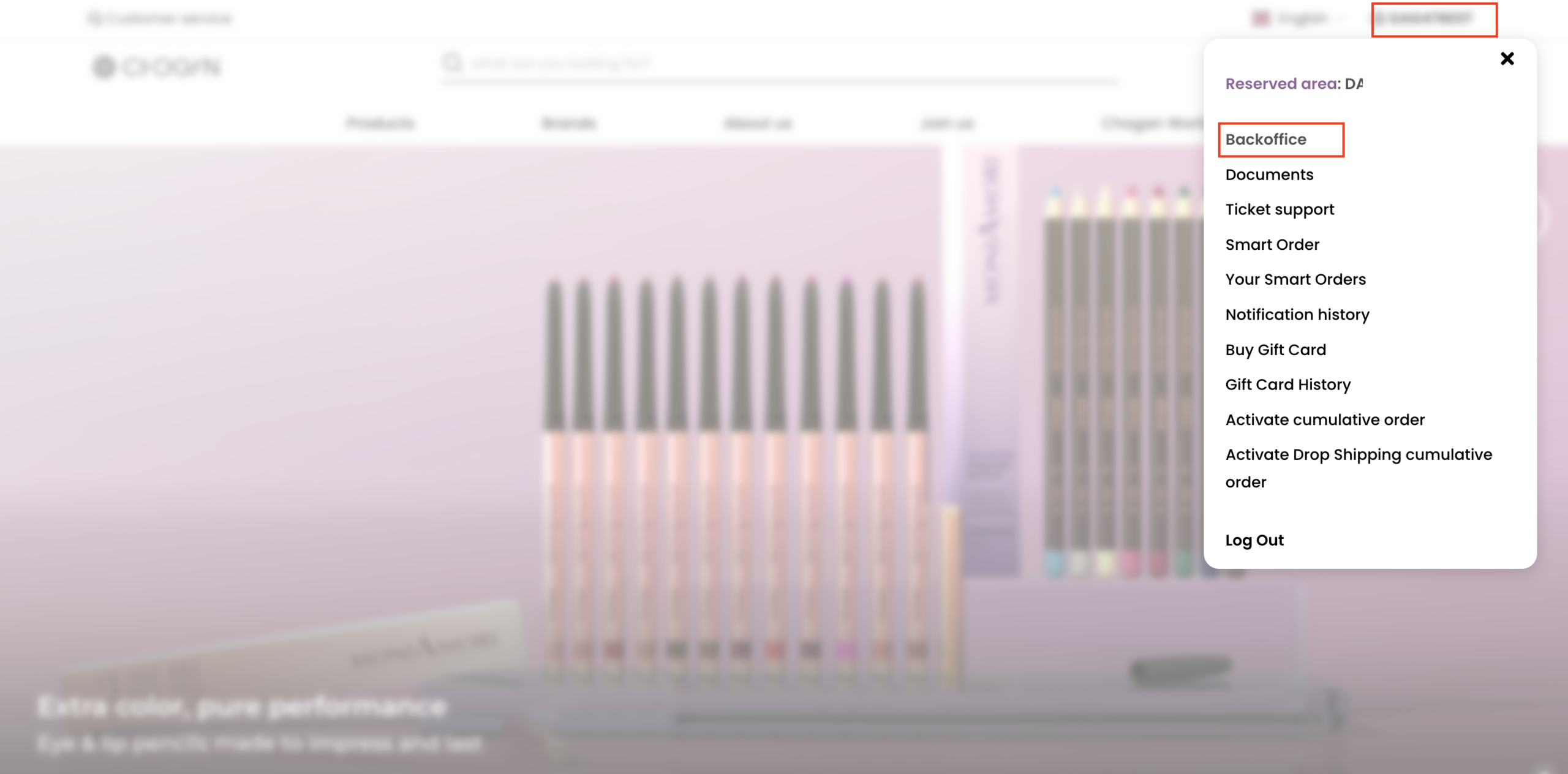 How to log in on Chogan Backoffice