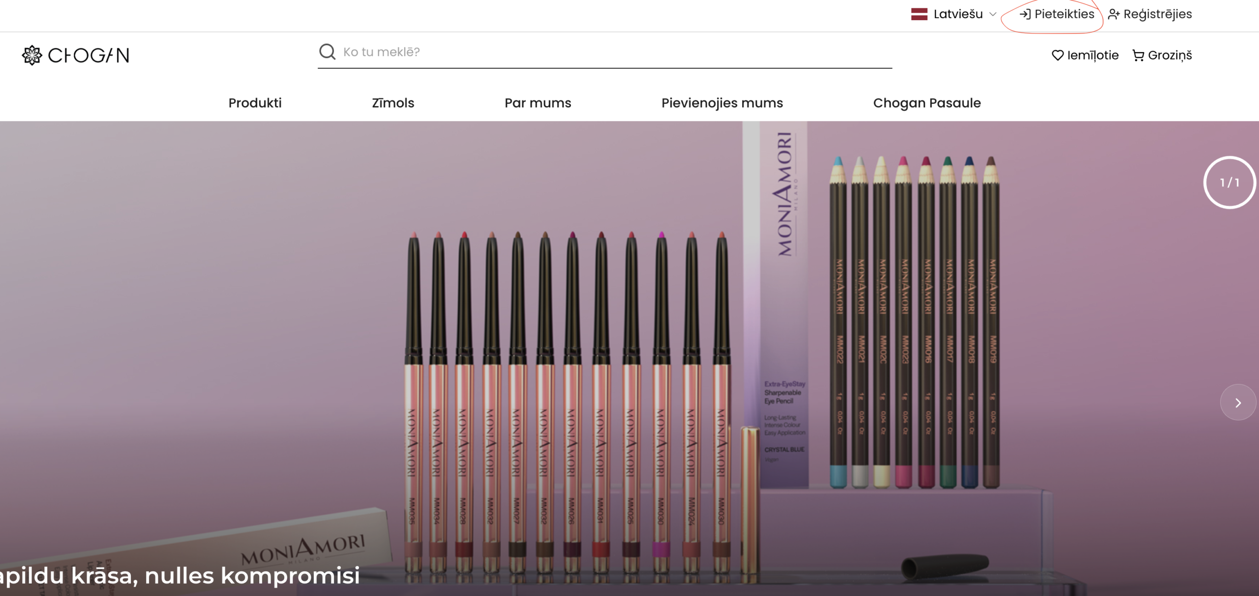 Ielogošanās Chogan mājaslapā