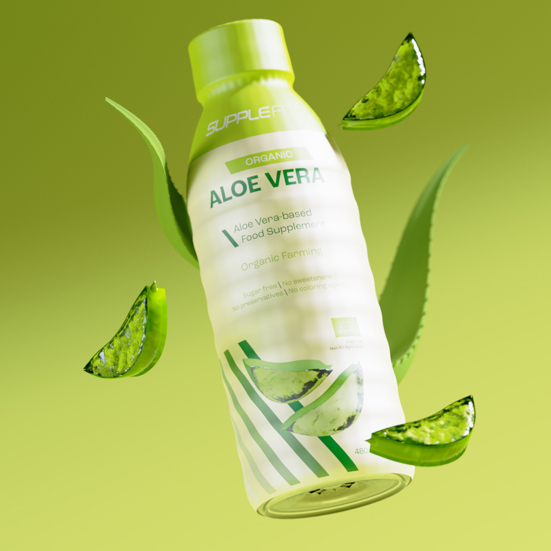 Organic Aloe Vera Juice Chogan 480 ml