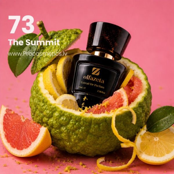 073 Olfazeta unisex smaržas nr. 73 The Summit 70ml buy online