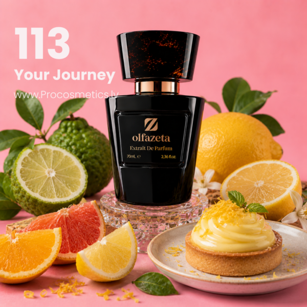 113 Olfazeta Chogan vīriešu smaržas Your Journey 70ml buy online