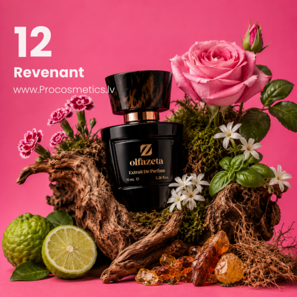 012 Olfazeta Chogan perfume no. 12 Revenant 70ml buy online