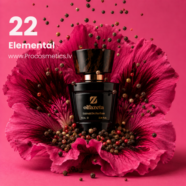 022 Olfazeta Chogan men's perfume 22 Elemental 70ml buy