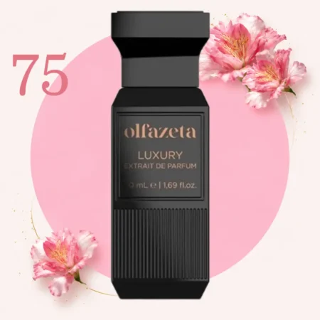 075 Olfazeta luksus smaržas nr. 75 Chogan Xcellence