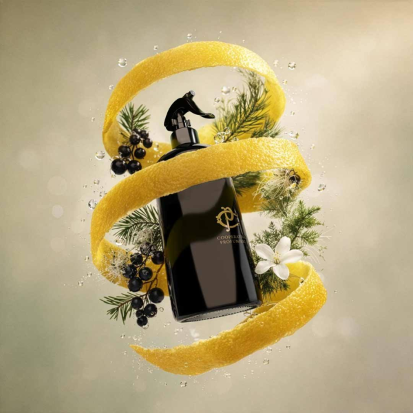 Cooperativa Profumieri sprejs telpām “Musk Ritual” 500ml buy online 1