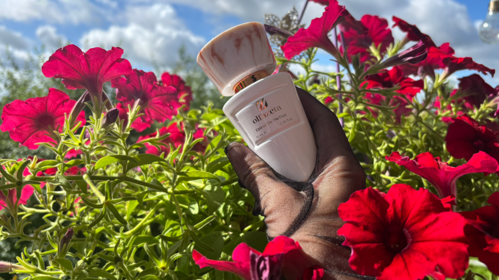 TOP 10 Olfazeta perfumes for summer