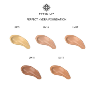 Chogan Perfect Hydra Foundation buy online