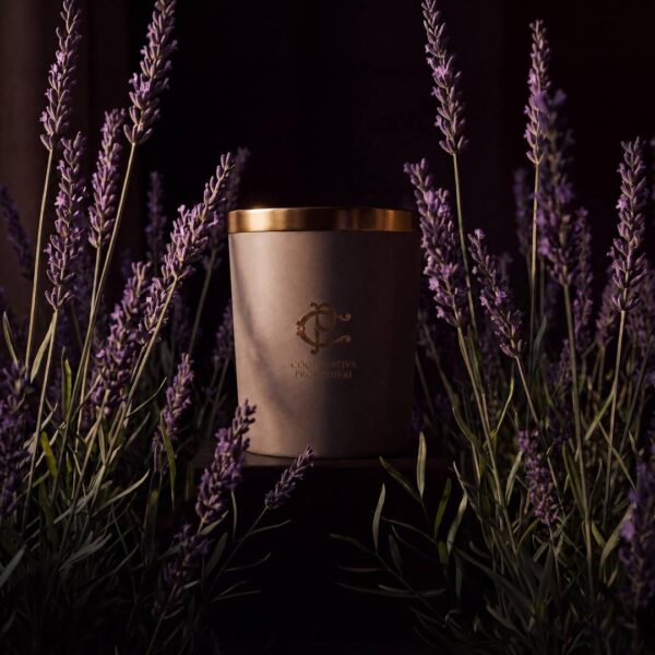 Aromatizēta svece LAVEA Velvet Lavender COPC005 400g pirkt Chogan